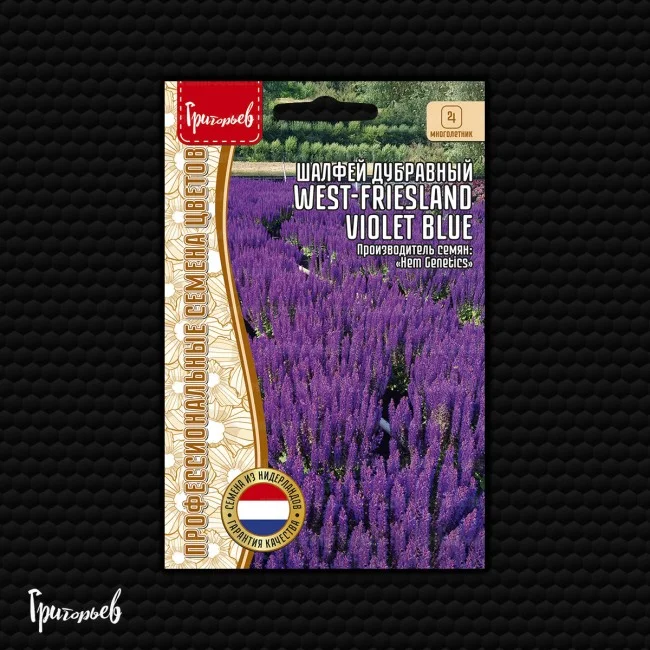 Западно-Фрисландский Фиолетово-Синий