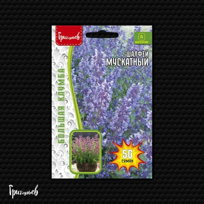 Новое Измерение Синий