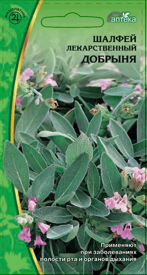 Миниатюра изображения сорта Добрыня