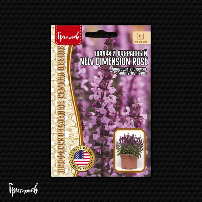 New Dimension Rose
