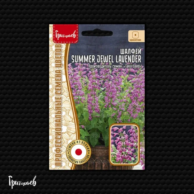 Summer Jewel Lavender