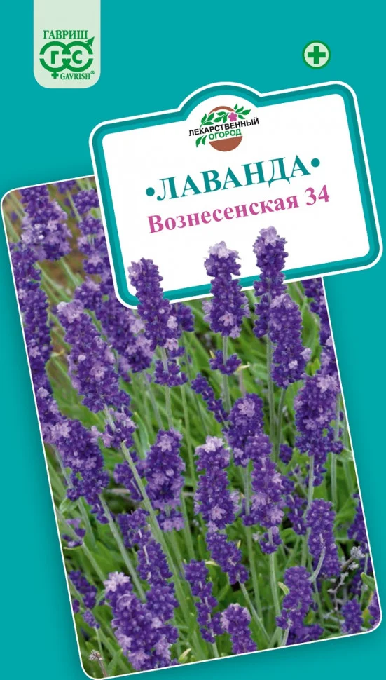 Вознесенская 34