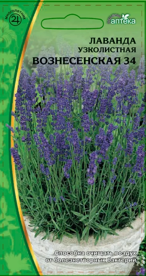 Вознесенская