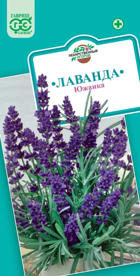 Миниатюра изображения сорта Южанка