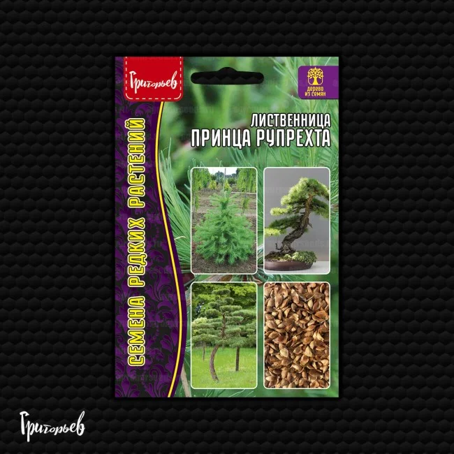 Принца Рупрехта