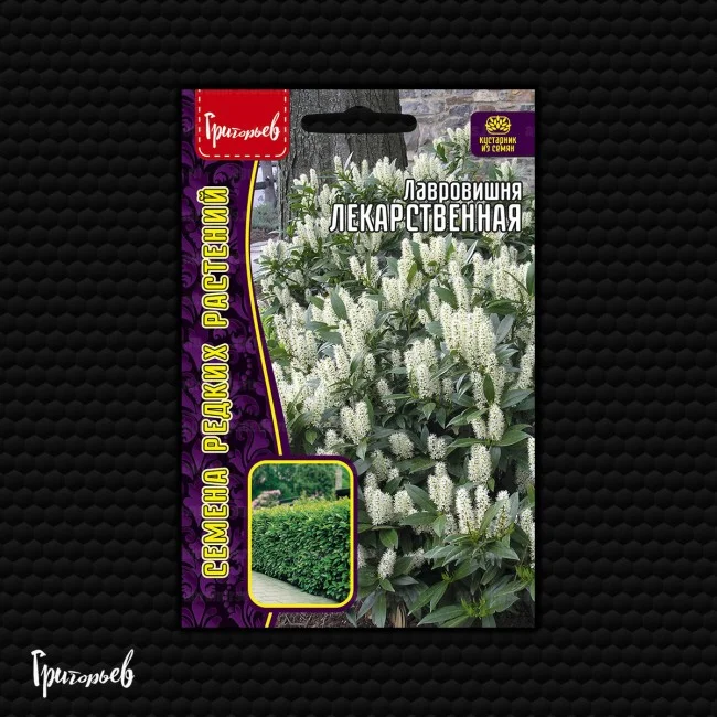 Лекарственная