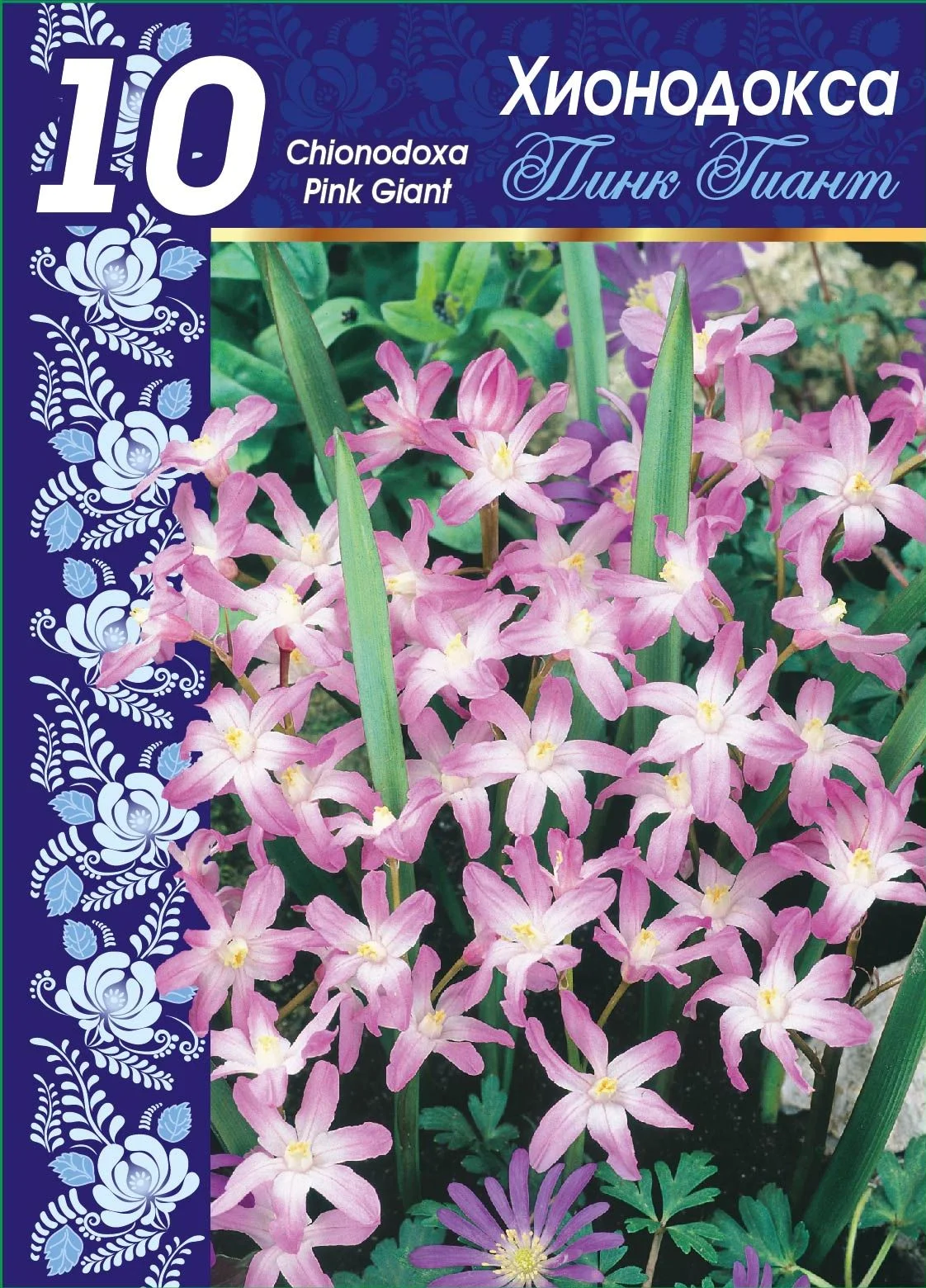 Виолет Бьюти