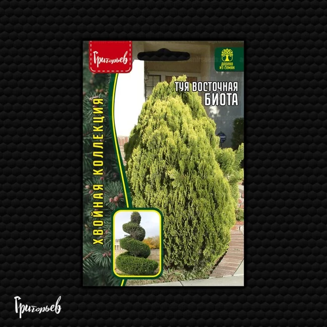 Биота восточная