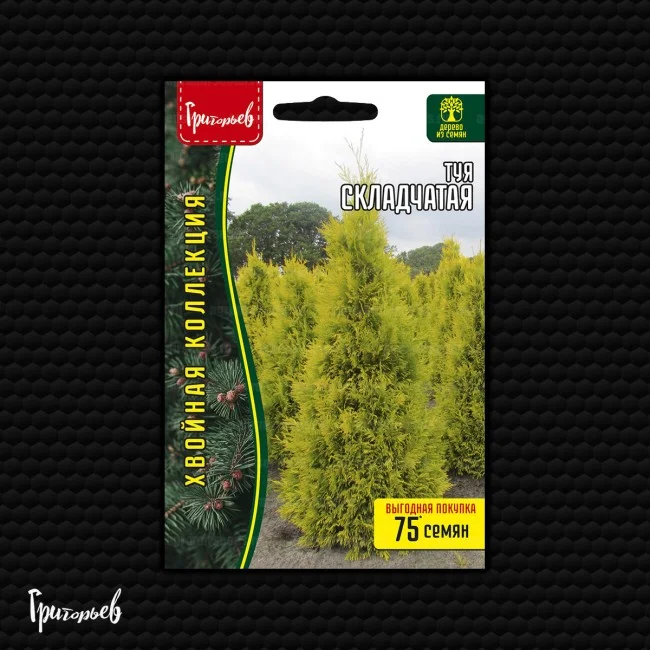 Складчатая