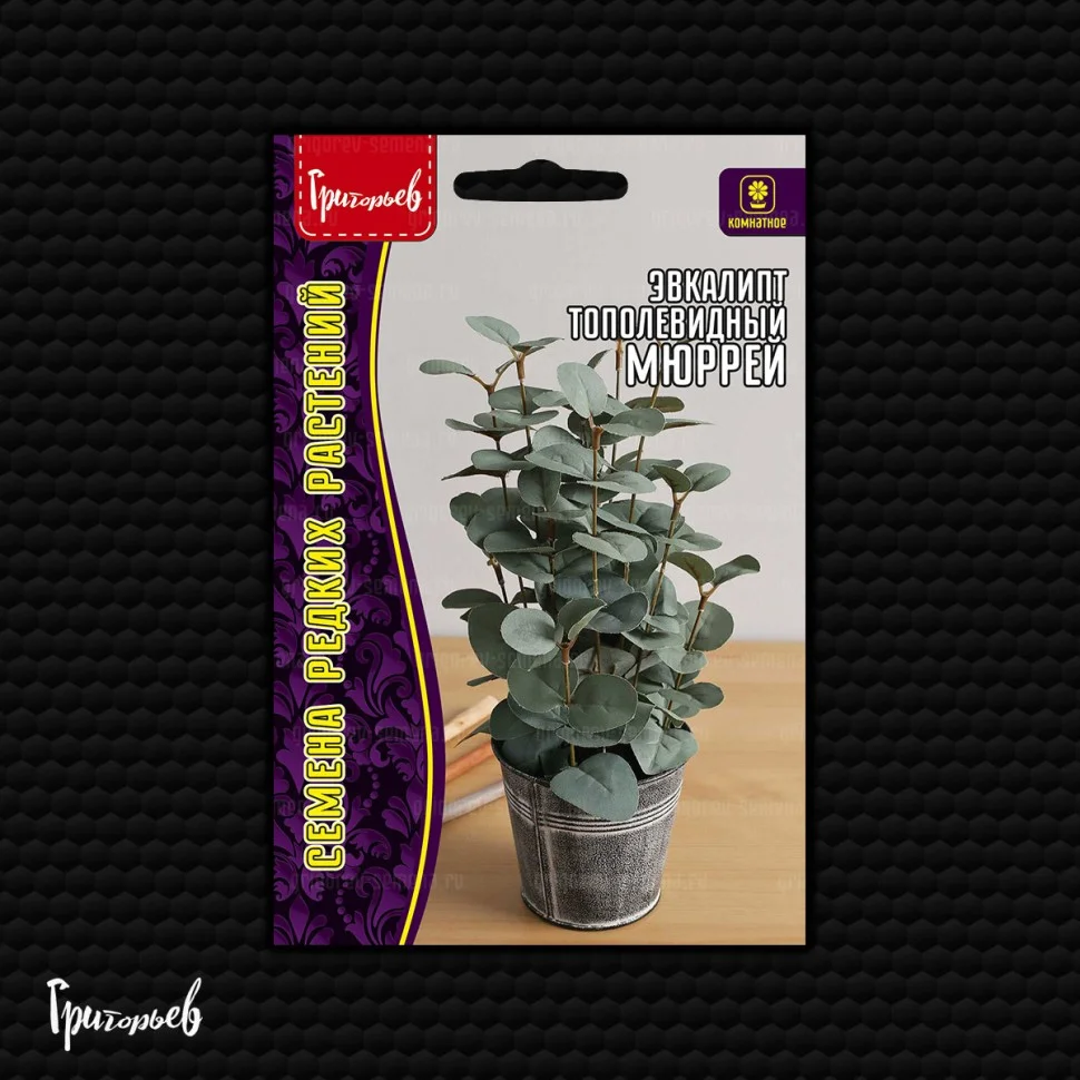 Мюррей тополевидный