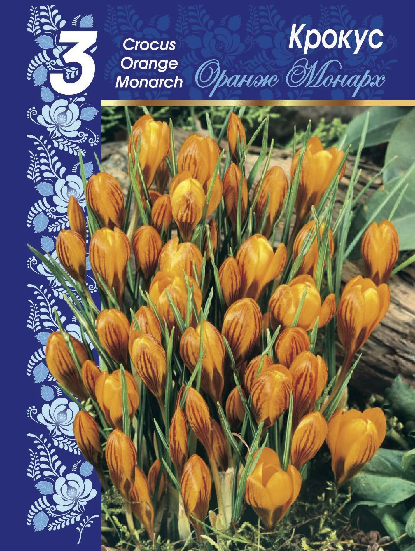 Оранж Монарх