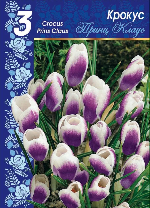 Принц Клаус