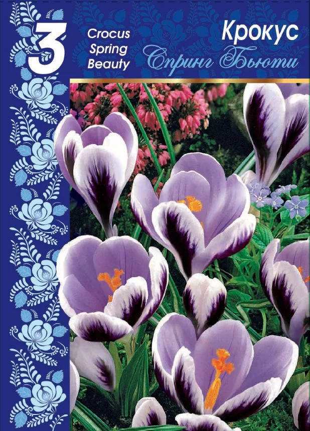 Спринг Бьюти