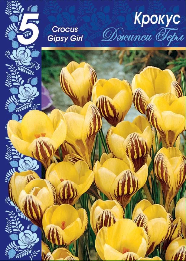 Джипси Герл