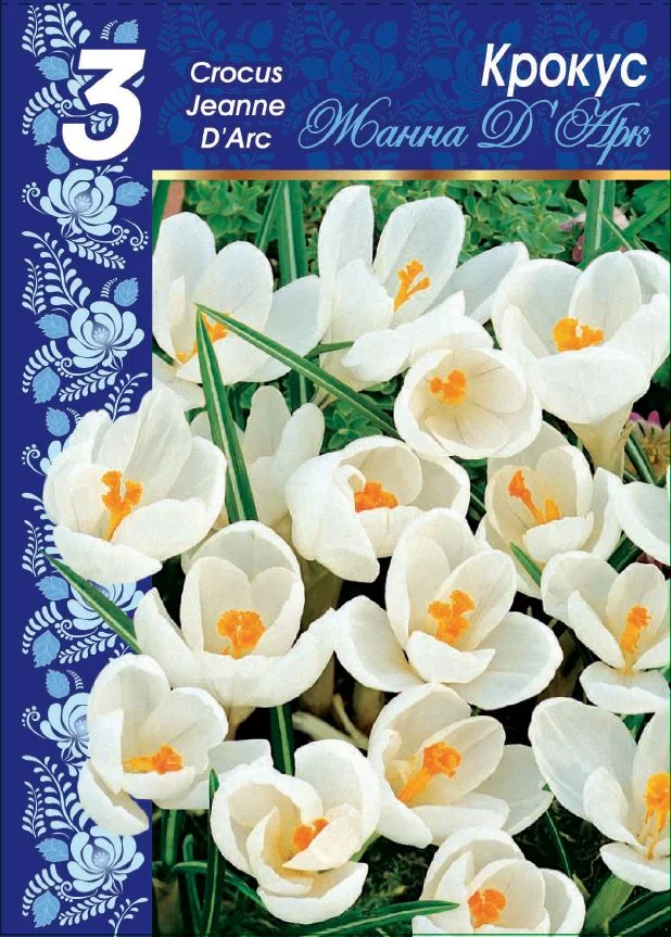 Жанна д`Арк