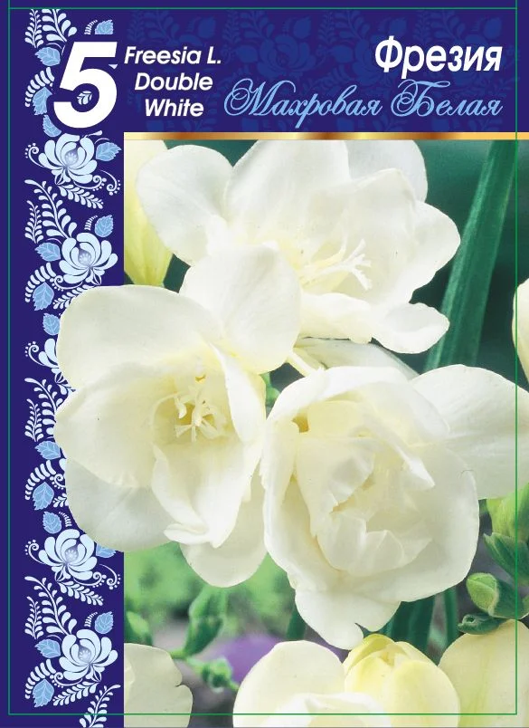 Махровая Белая