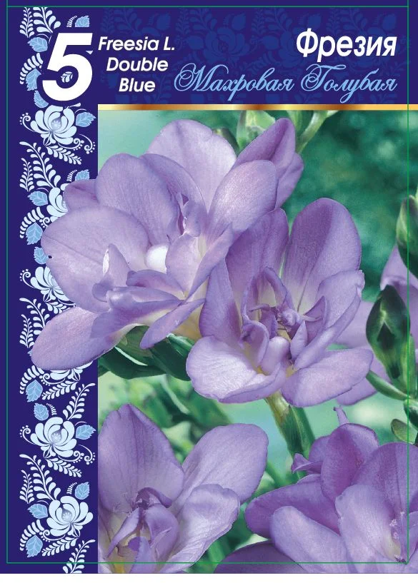 Махровая Голубая