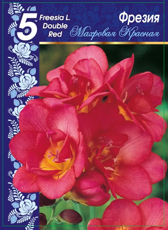 Махровая Красная