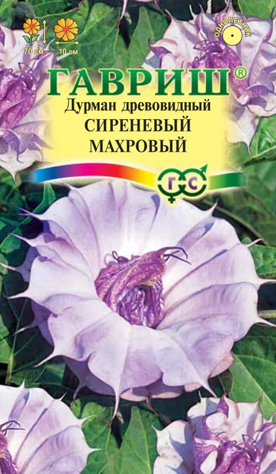 Сиреневый махровый