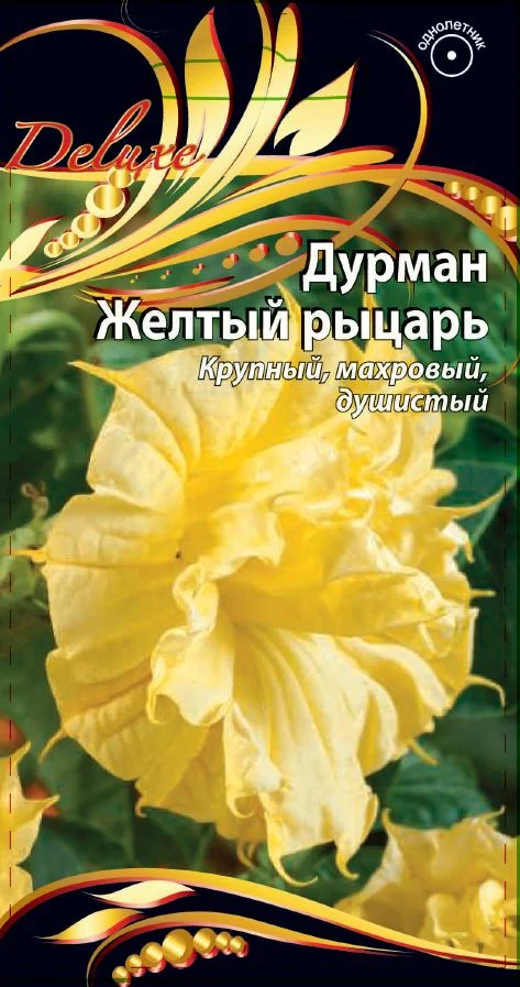 Желтый рыцарь