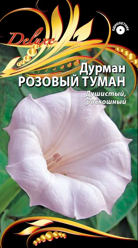 Розовый туман