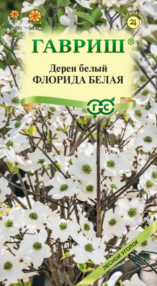 Флорида белая