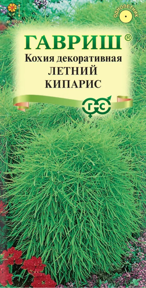 Миниатюра изображения сорта Летний кипарис