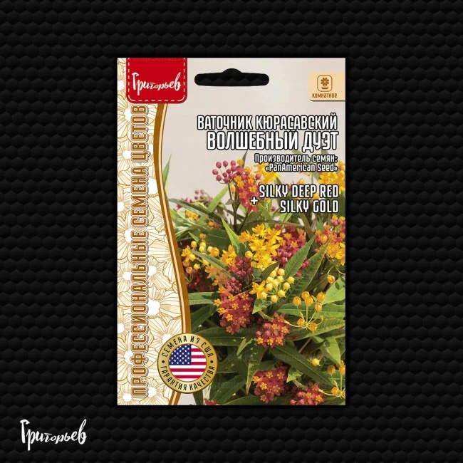 Волшебный Дуэт