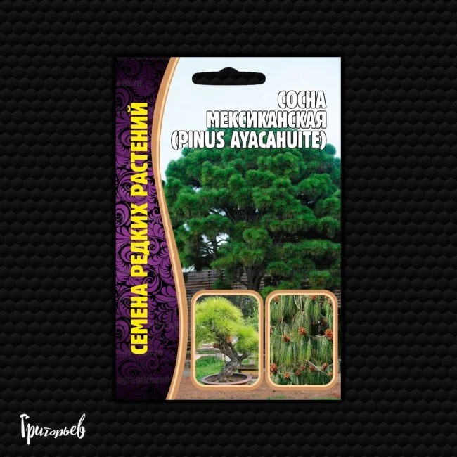 Мексиканская