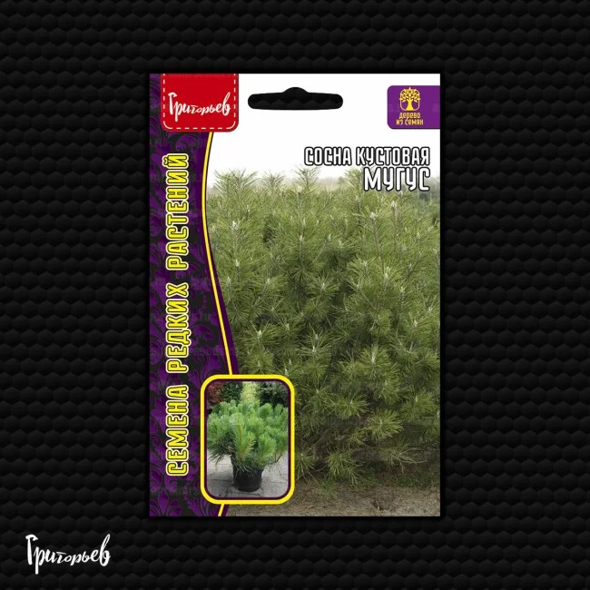 Мугус кустовая