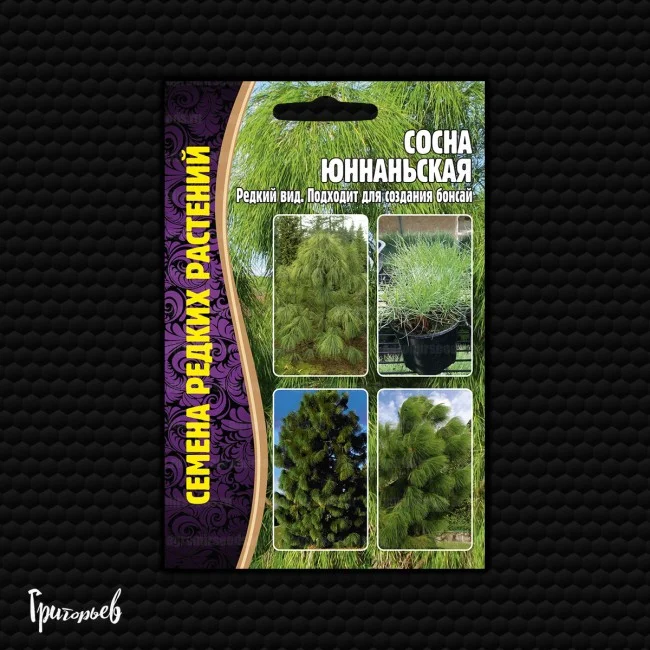 Юннаньская