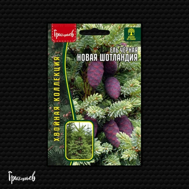 Новая Шотландия