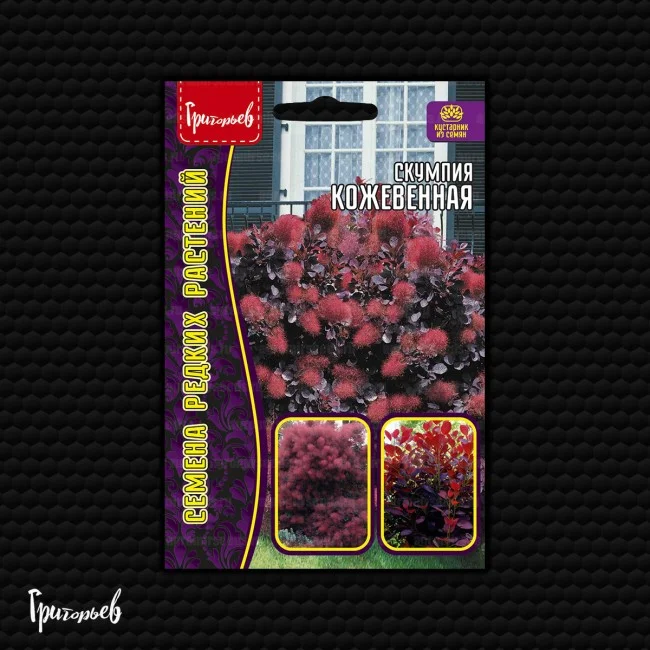 Кожевенная