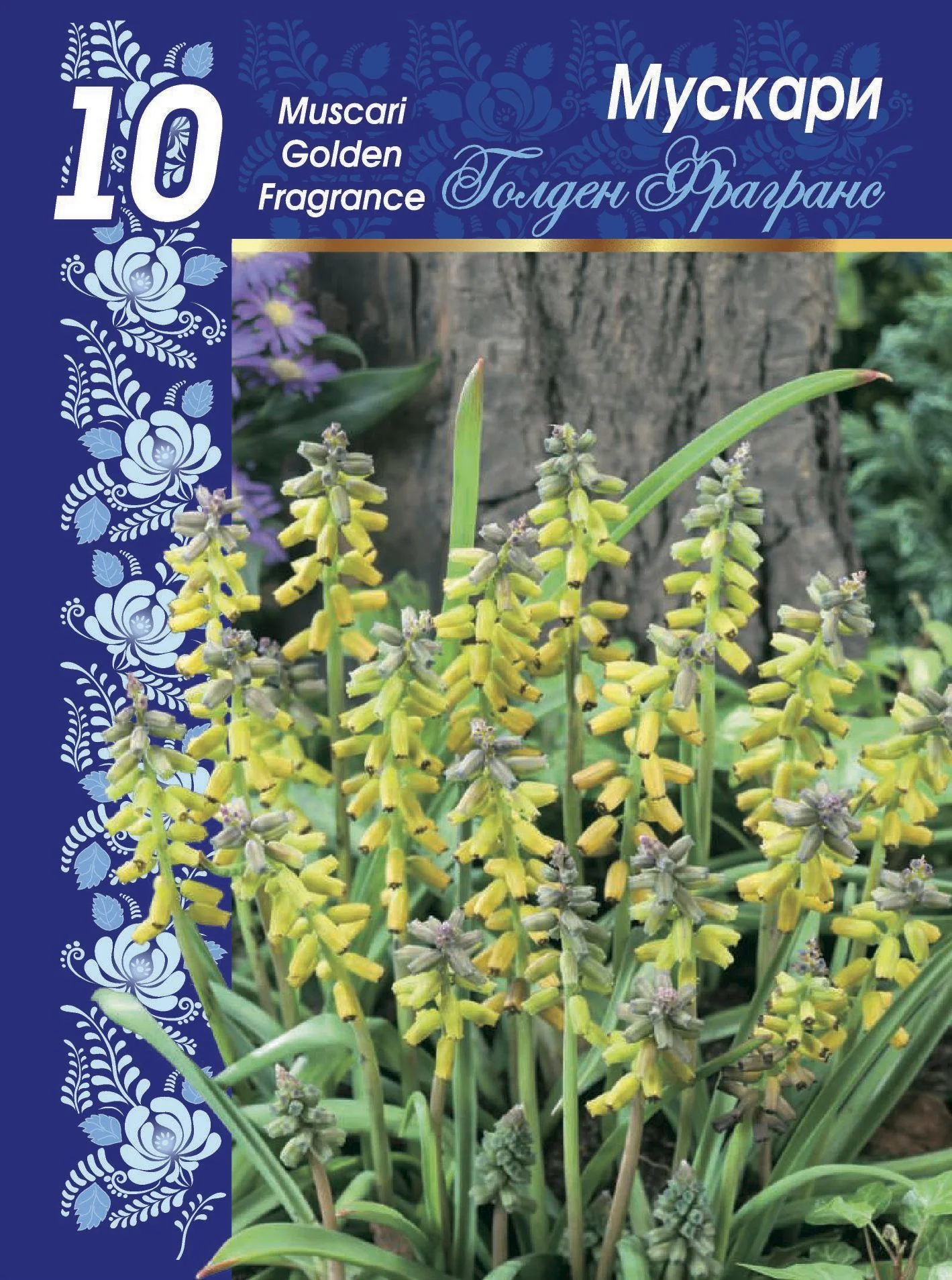 Голден Фрагранс