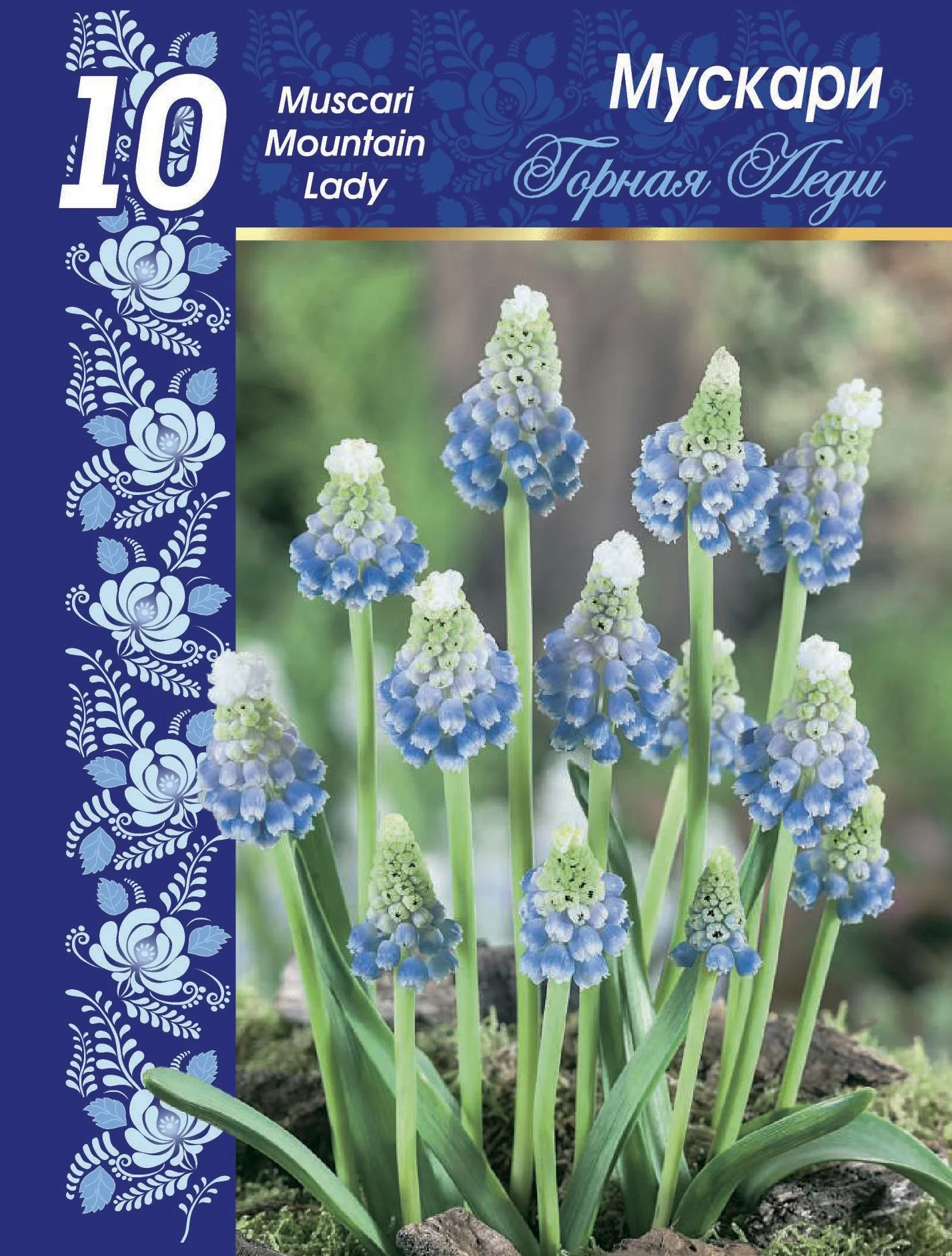 Горная Леди