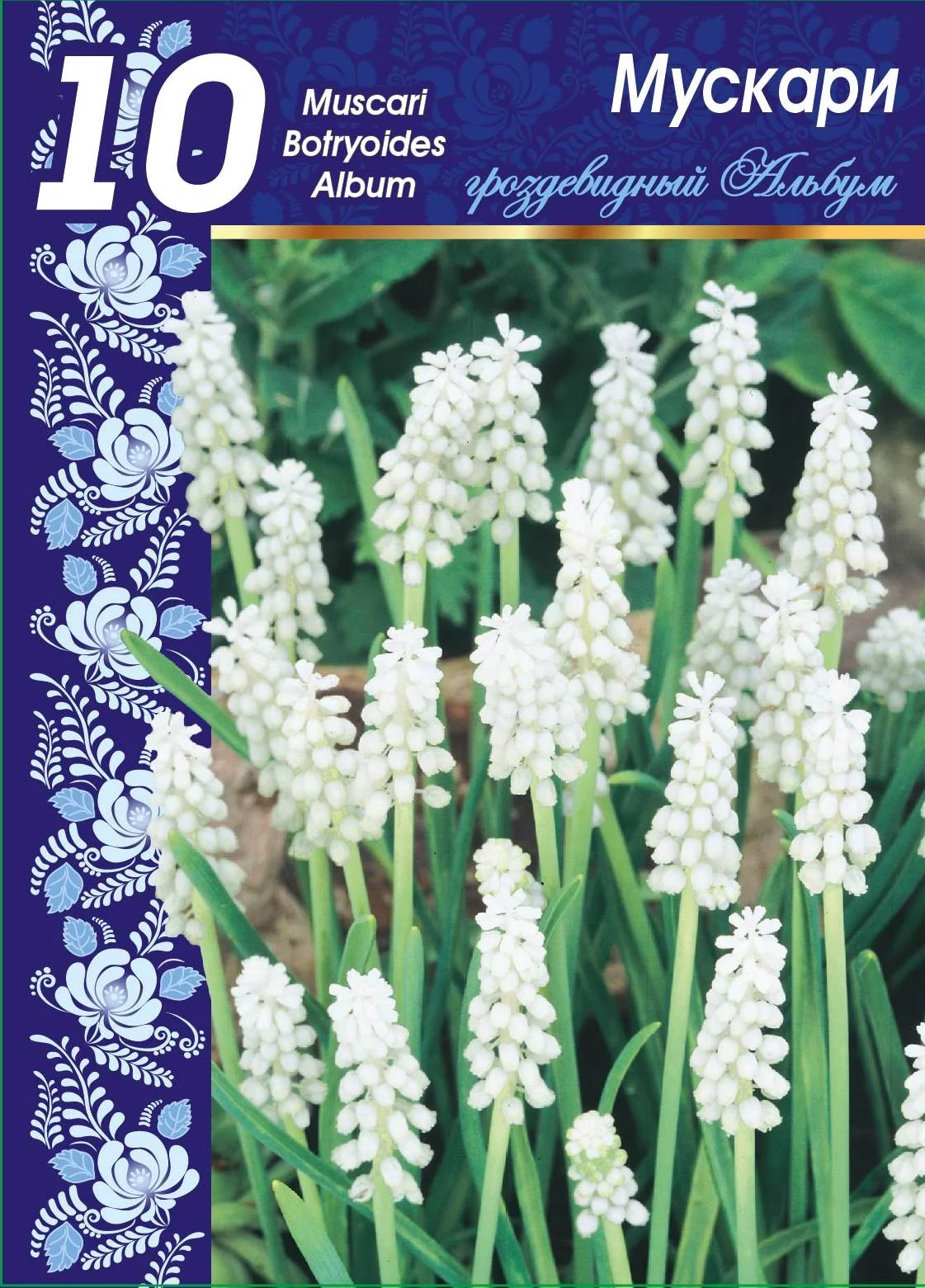 Гроздевидный Альбум