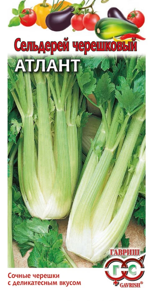 Миниатюра изображения сорта Атлант