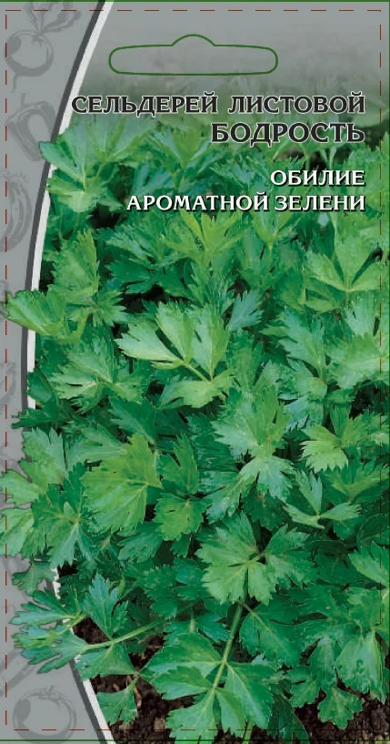 Миниатюра изображения сорта Бодрость 