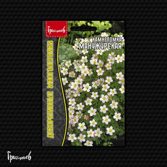 Манчжурская