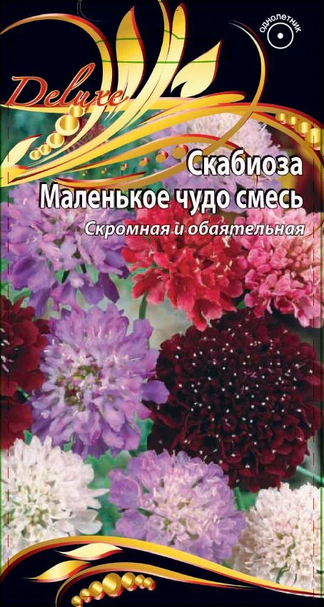 Маленькое чудо