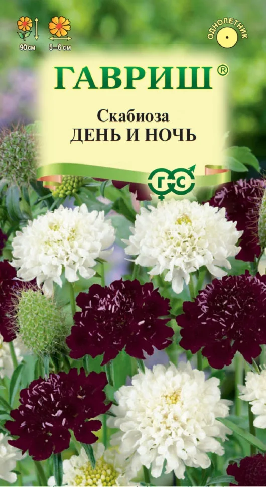 День и ночь