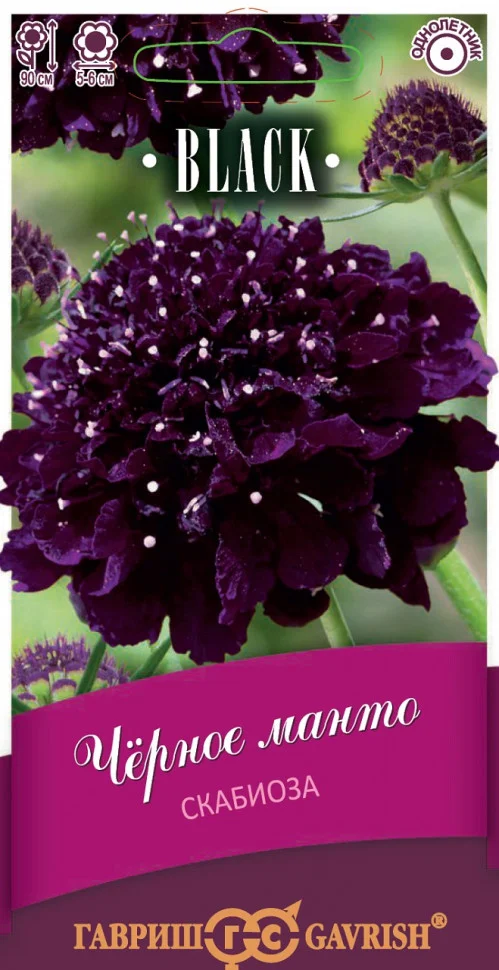 Чёрное манто