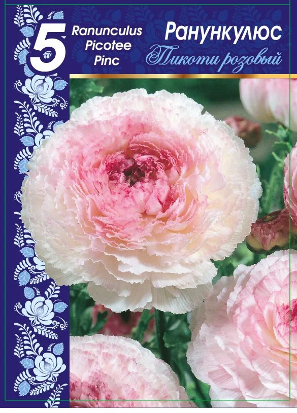 Пикоти Розовый