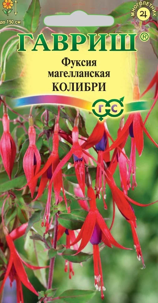 Колибри магелланская