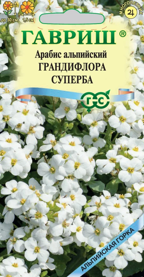 Грандифлора суперба