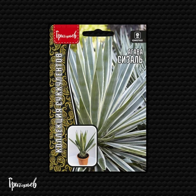 Красна Девица