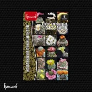 Ночной Ангел