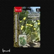 Танец Бабочки