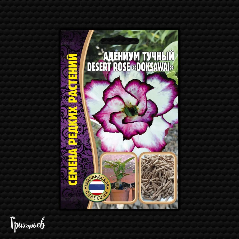 Чёрная Птица