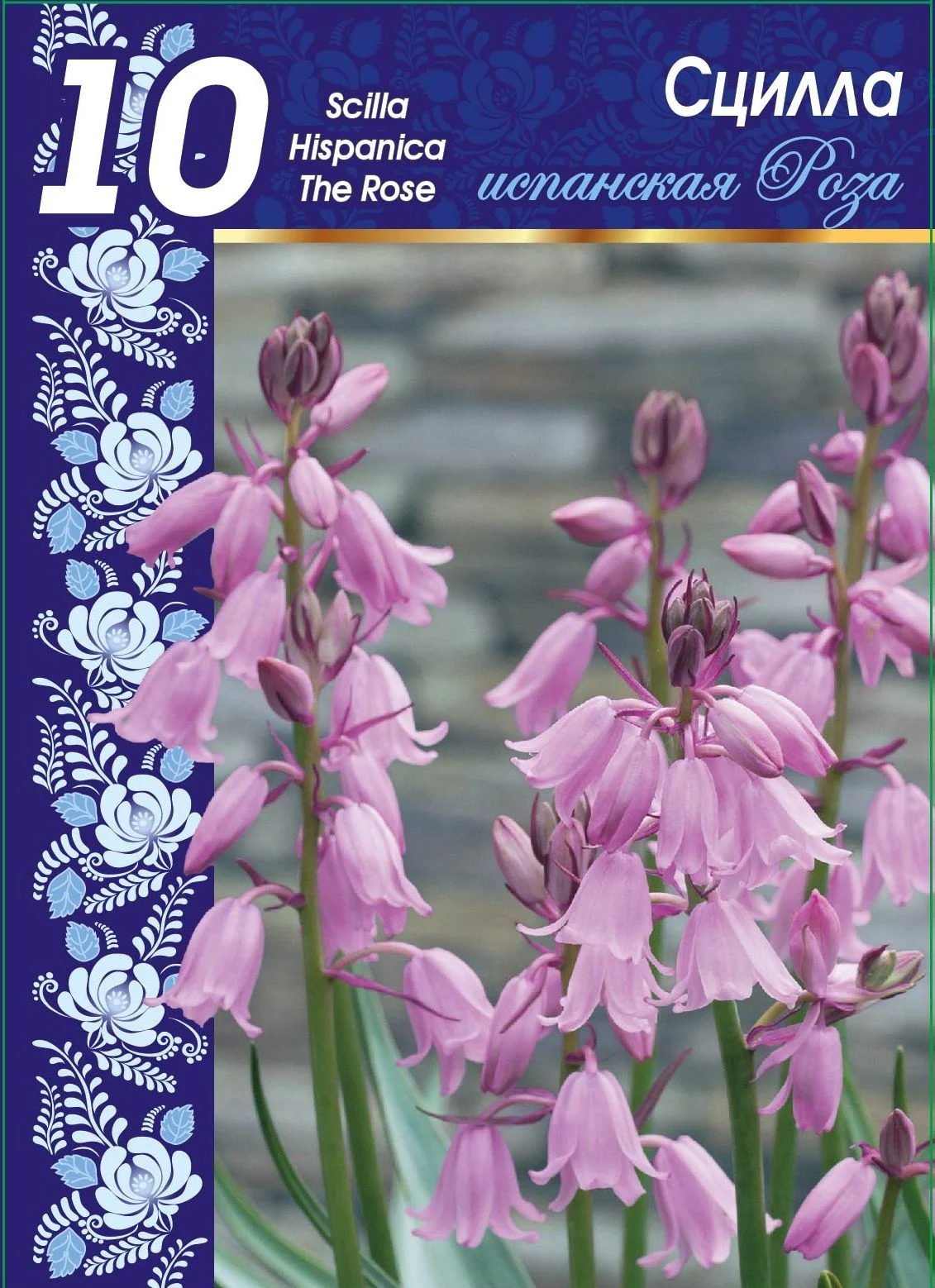 Испанская Роза